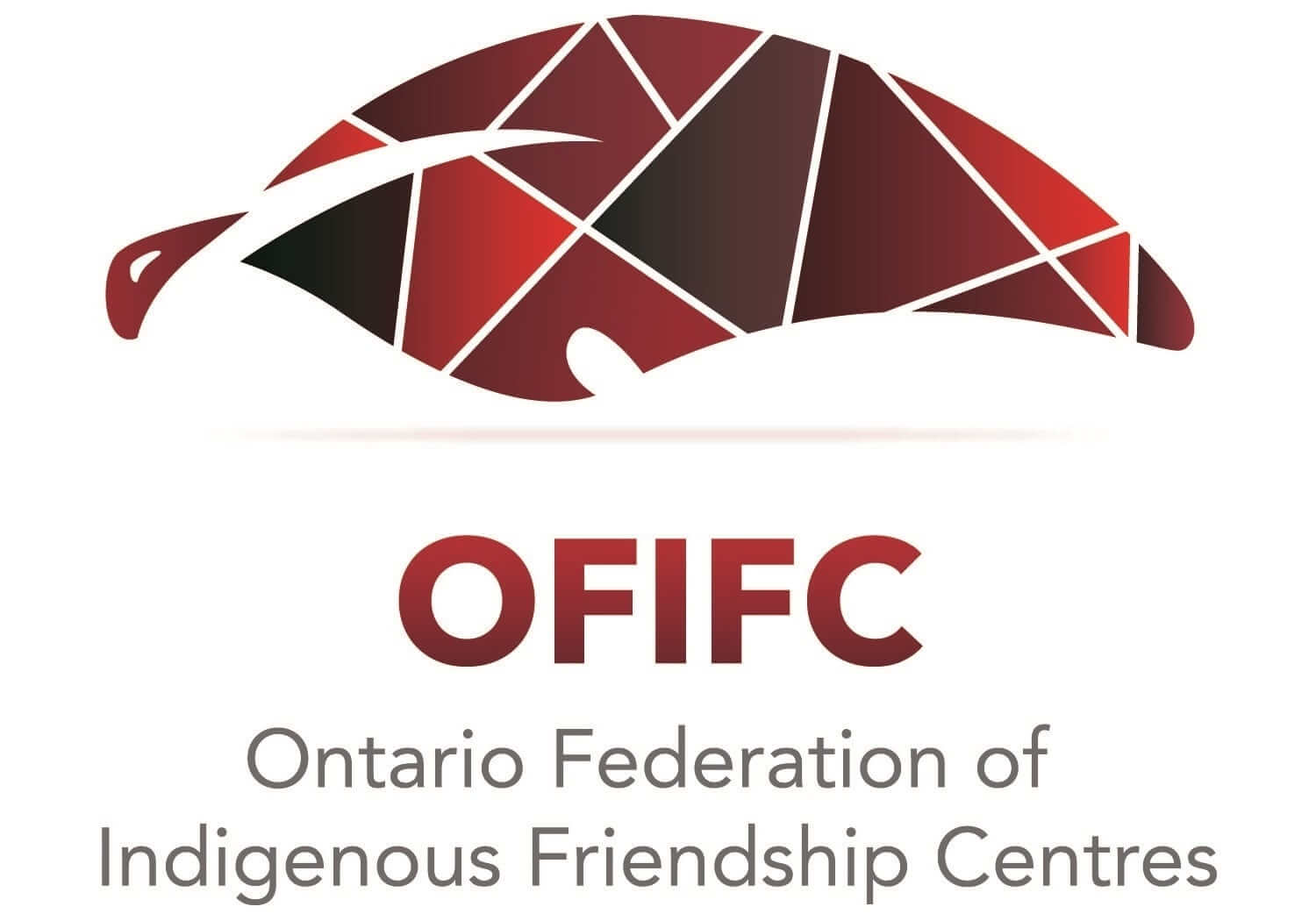  Ontario Federation of Indigenous Friendships Centres