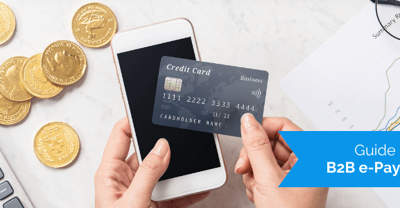Guide to B2B e-Payments - Payment