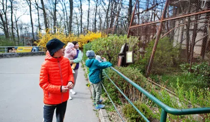 three kids looking into a zoo enclosure at birds