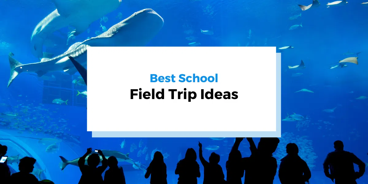 Best School Field Trip Ideas