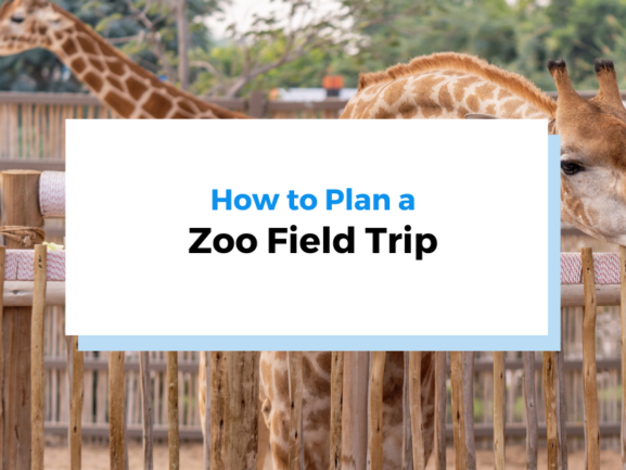how to plan a zoo field header image