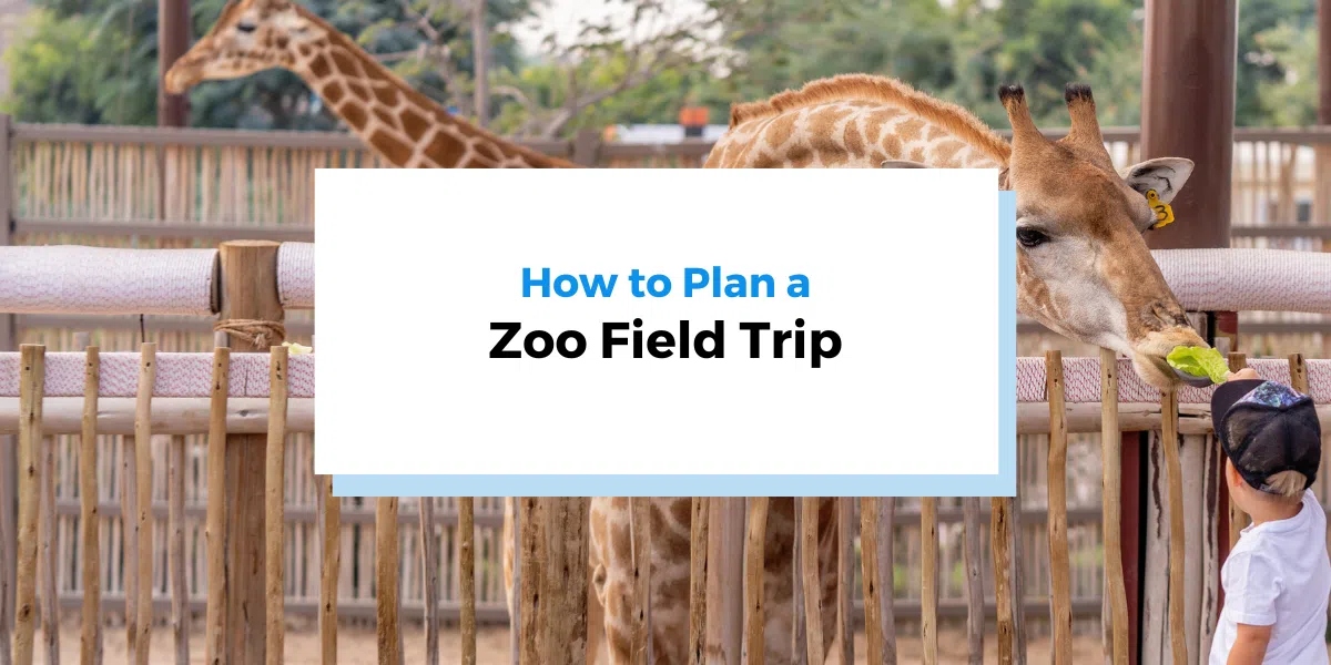 How to Plan a Zoo Field Trip